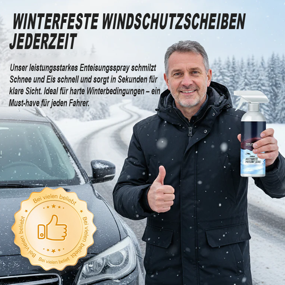 Leistungsstarkes Enteisungsspray für Autowindschutzscheiben -Remifa®
