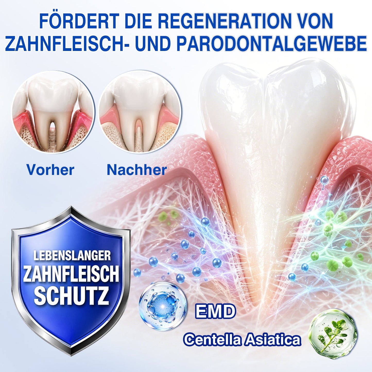 🇩🇪👨‍⚕️✅🦷Evolvion® GumRevive Parodontales Reparaturgel