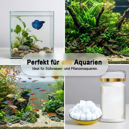 🐟💧 50% RABATT 🔥 Effektives Mittel gegen grünes Wasser & Moos im Aquarium – kristallklares Wasser in kurzer Zeit ✨