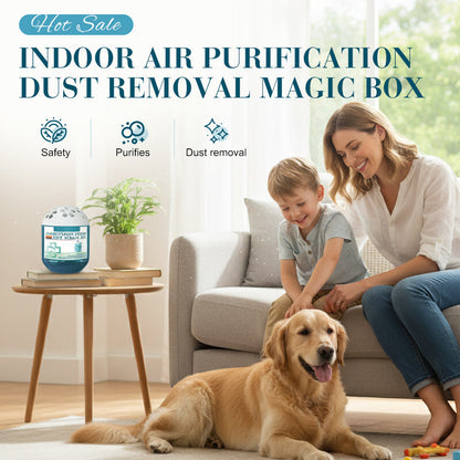 🏆Indoor Luftreinigung Staub Entfernung Magic Box🌿✨ – Sicher für Kinder -Remifa®